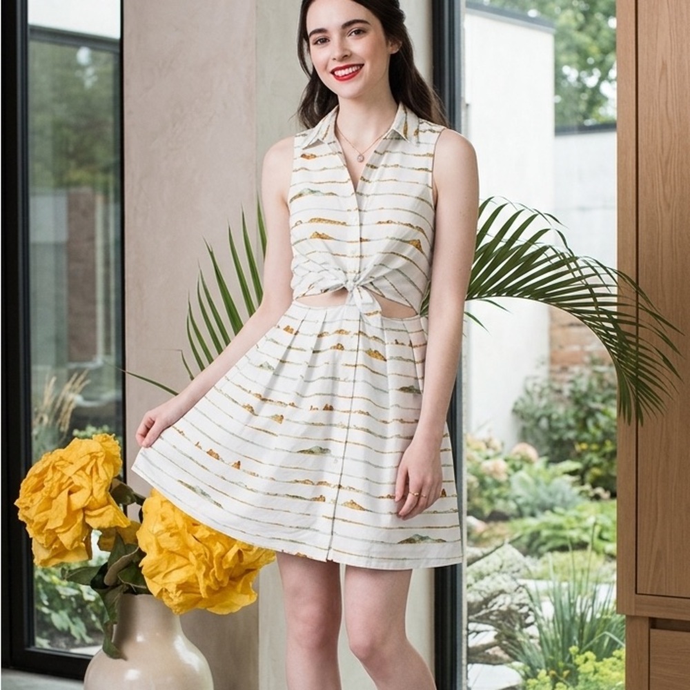 Samantha Pleet mountain print mini Dress from 2014 cut out collar vintage sezane